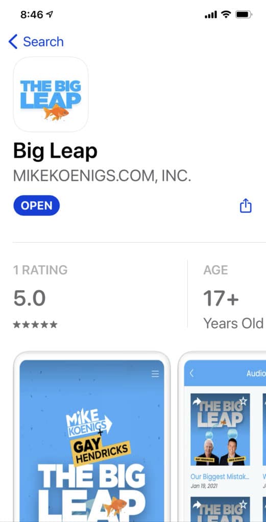 BigLeap App